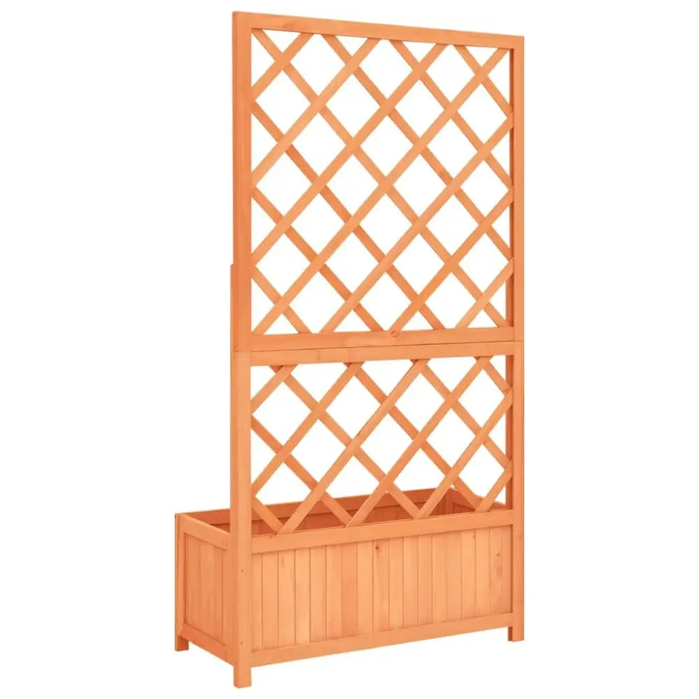 Solid Firwood Trellis Planter for Climbers showcasing a trellis planter with natural wood finish